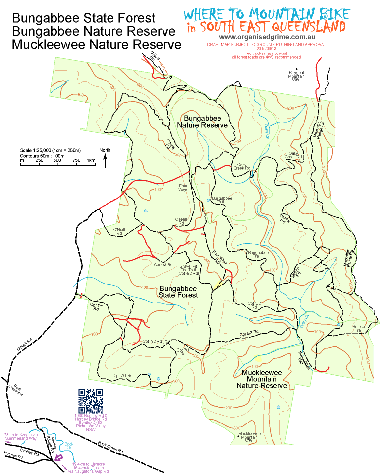 Bungabbee Forest, Lismore/Casino, NSW